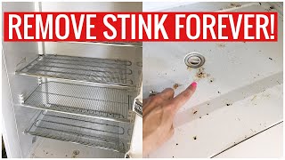 Stinky Fridge or Freezer How to REMOVE the SMELL for GOOD Cleaning Hacks  Andrea Jean Cleaning [upl. by Einhpets]