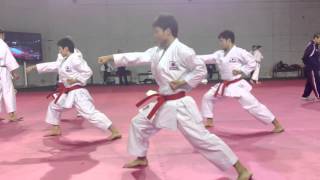 Japan National Karate Team  quotJionquot training  WKF World Championship 2012 [upl. by Berlinda]