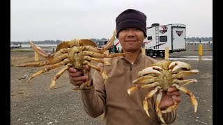 How to catch crab with a crab hawk  Oregon crabbing [upl. by Ahsaret207]