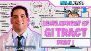 Gastrointestinal  Development amp Embryology of the GI Tract Part 1 [upl. by Aihtnys]