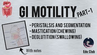 GI Motility Part  1  Chewing Reflex  Deglutition  Gastrointestinal Physiology [upl. by Chapland]