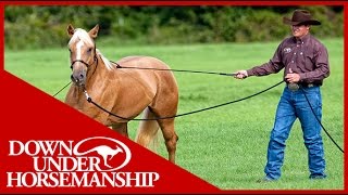 Clinton Anderson Training a Rescue Horse Part 1  Downunder Horsemanship [upl. by Goodson490]