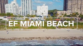 EF Miami Beach – Campus Tour [upl. by Odnumyar226]