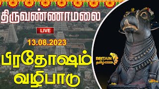 LIVE  திருவண்ணாமலை  பிரதோஷம் வழிபாடு  Thiruvannamalai Pradosham Britain Bhakthi [upl. by Deehahs]