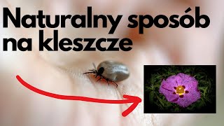 Naturalny sposób na kleszcze [upl. by Joris188]