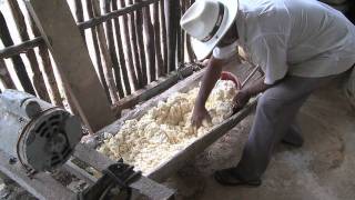 Manioc Flour [upl. by Fauman115]