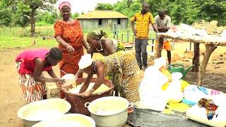 Pourquoi cultiver le manioc [upl. by Harbed]