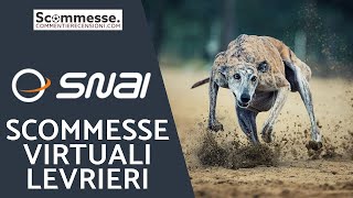 🐶Cani virtuali Snai le scommesse virtuali cani e levrieri [upl. by Gant708]