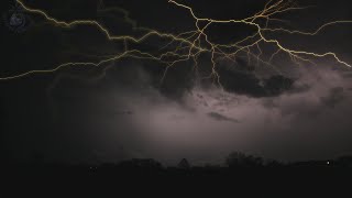 ⚡ Rolling Thunder Sleep Ambience with Clear Relaxing Sounds of Lightning and Rain Falling on Leaves [upl. by Hara]