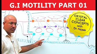 G I Motility  Gastrointestinal  Part 1 [upl. by Arza]