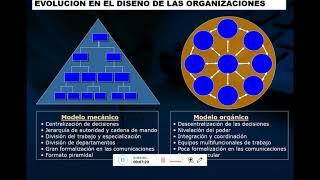 Diseño organizacional evolución de los modelos organizacionales [upl. by Garrick]