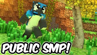 Public Minecraft SMP Joinable  Bedrock and Java Survival Server [upl. by Chancey266]