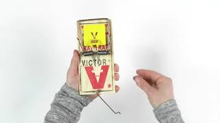 How to Set the Victor® Plastic Pedal Rat Trap [upl. by Barrow38]