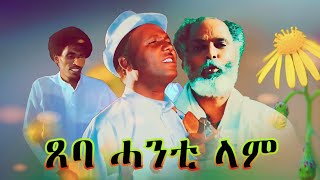 Abera Beyene  Tseba Hanti lam  Eritrean Tigrigna Music 2020 [upl. by Derby]