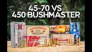 4570 VS 450 Bushmaster Pumpkin Shootout [upl. by Leemaj]