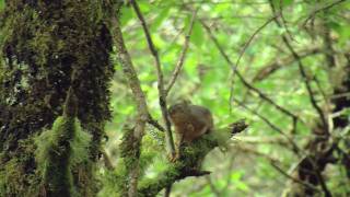 Nehalem Bay State Park [upl. by Iiette]