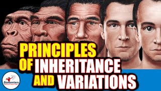 Principles Of Inheritance amp Variations l Lecture 1 l Biology l NEET [upl. by Chrisman275]