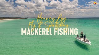 Hervey Bay Fly and Sportfishing  Live from Aus Fraser Coast [upl. by Aicxela328]