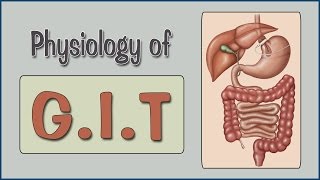 Easy Physiology  GIT  1Introduction amp GIT Hormones [upl. by Solohcin]