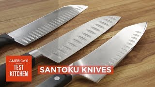 Equipment Review Best Santoku Knives amp Our Testing Winners [upl. by Elleinet747]