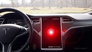 Teslas Sentry Mode Review [upl. by Hoi170]