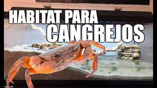 habitat para cangrejos [upl. by Colvert892]