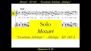 Mozart  KV165 3 Exsultate Jubilate  Alleluja  Solo [upl. by Psyche]