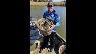 Crabbing the Chesapeake Bay catching Blue Crabs in the Summer 2020 running a trotline [upl. by Elocal]