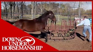 Clinton Anderson Presents Running Scared Training An Aggressive Horse [upl. by Namzed]