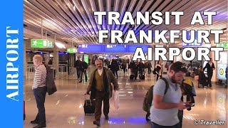 TRANSIT WALK AT FRANKFURT Airport FRA Terminal 1  Connection Flight Transfer Arriving amp Departing [upl. by Nwahsid647]